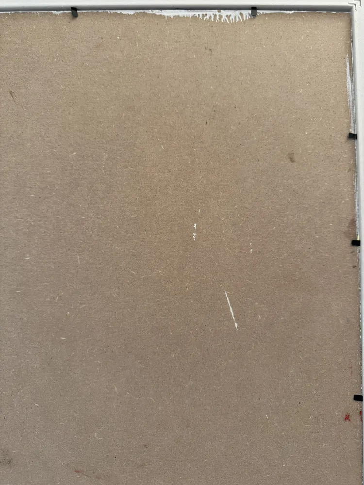 Luce nei petali — foto 6
