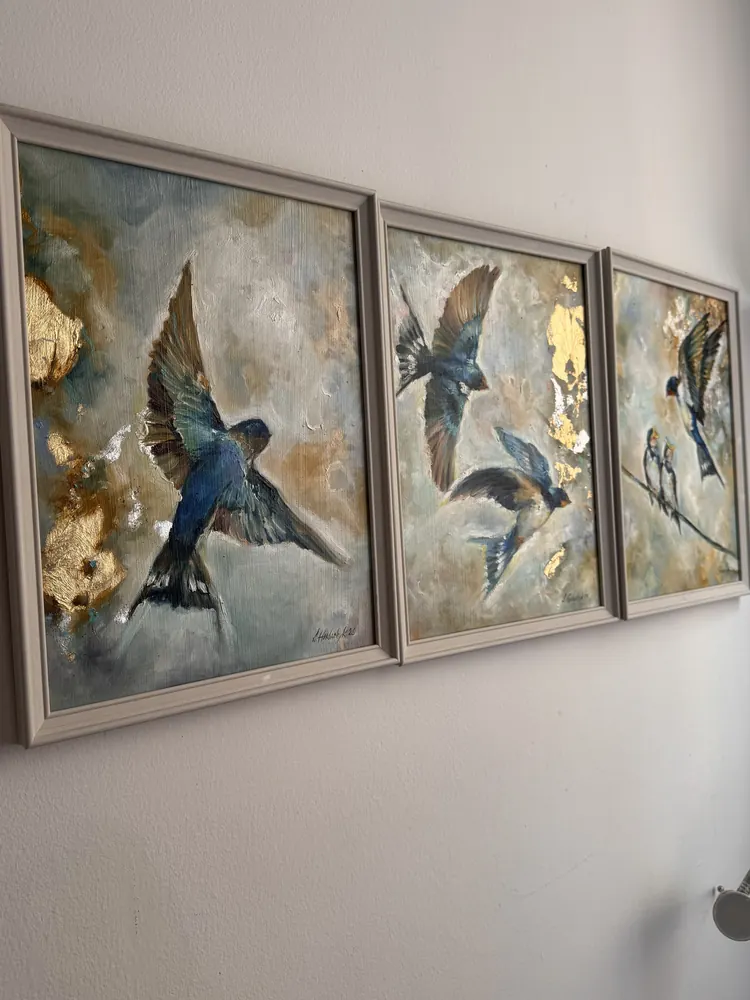 Trilogia del volo — foto 10