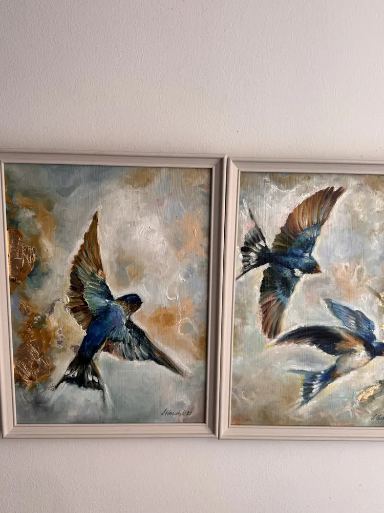 Trilogia del volo — foto 11